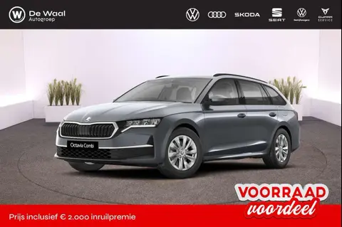 Used SKODA OCTAVIA Petrol 2024 Ad 