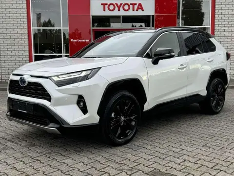 Used TOYOTA RAV4 Hybrid 2024 Ad 