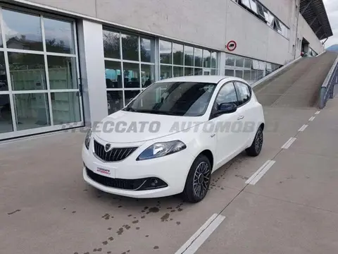 Used LANCIA YPSILON Hybrid 2024 Ad 