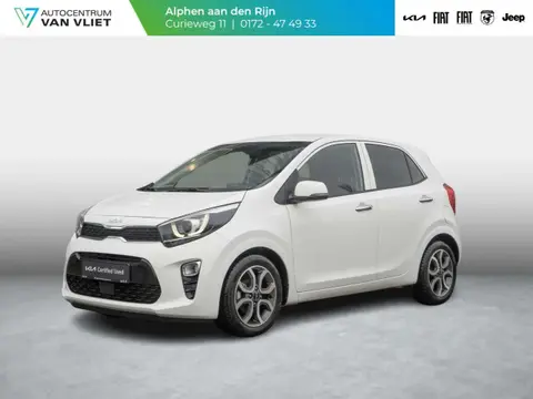 Used KIA PICANTO Petrol 2023 Ad 