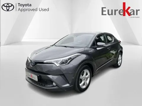 Used TOYOTA C-HR Hybrid 2019 Ad 