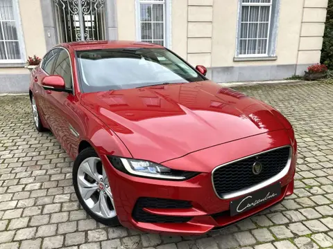 Used JAGUAR XE Diesel 2021 Ad 