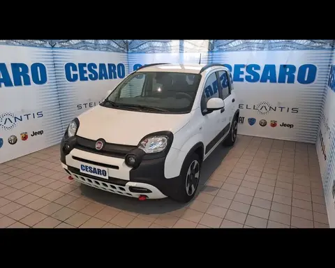 Used FIAT PANDA Hybrid 2023 Ad 