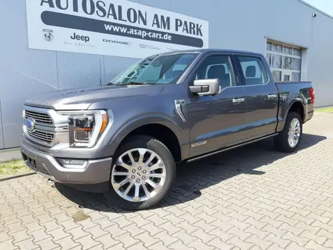 Used FORD F150 Petrol 2024 Ad 