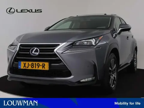 Used LEXUS NX Hybrid 2015 Ad 