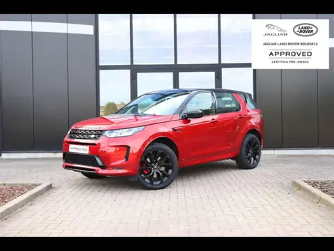 Used LAND ROVER DISCOVERY Petrol 2020 Ad Belgium