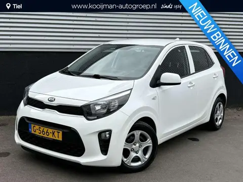 Used KIA PICANTO Petrol 2019 Ad 