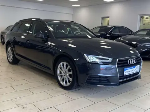 Used AUDI A4 Diesel 2019 Ad Germany