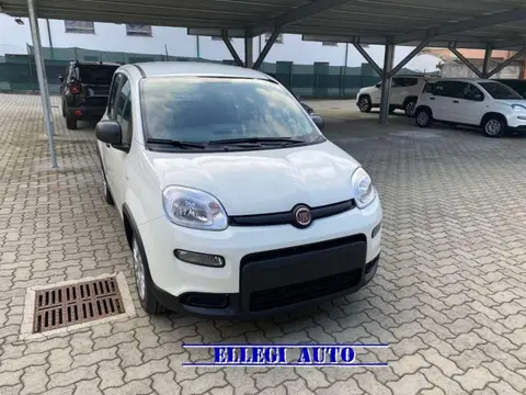 Used FIAT PANDA Hybrid 2024 Ad 