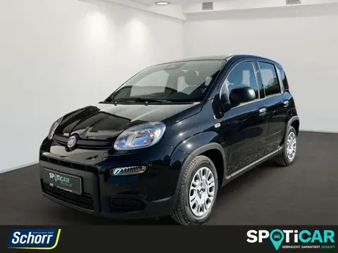 Used FIAT PANDA Petrol 2024 Ad 