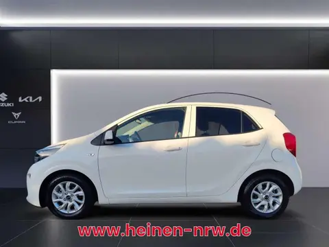 Used KIA PICANTO Petrol 2021 Ad 