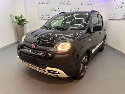 Annonce FIAT PANDA Hybride 2024 d'occasion 