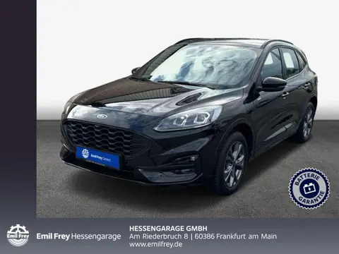 Used FORD KUGA Hybrid 2023 Ad 