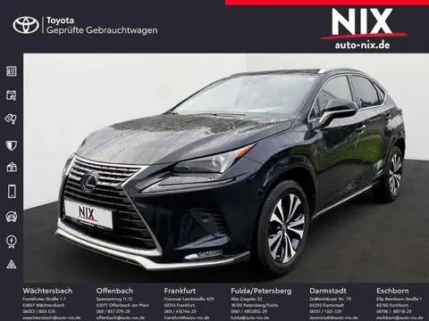 Annonce LEXUS NX Hybride 2021 d'occasion 