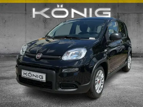 Annonce FIAT PANDA Essence 2024 d'occasion 