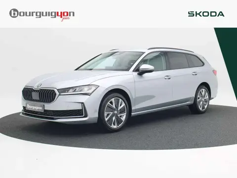 Used SKODA SUPERB Petrol 2024 Ad 