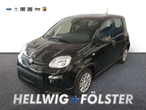 Used FIAT PANDA Petrol 2024 Ad 