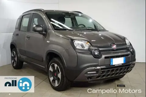 Used FIAT PANDA Petrol 2021 Ad 