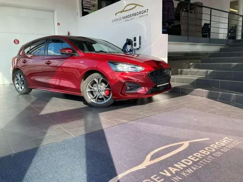 Annonce FORD FOCUS Essence 2020 d'occasion Belgique