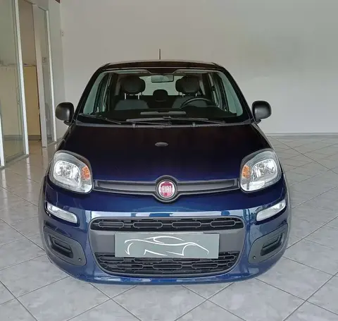 Used FIAT PANDA Hybrid 2021 Ad 