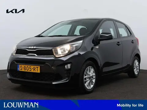 Used KIA PICANTO Petrol 2023 Ad 