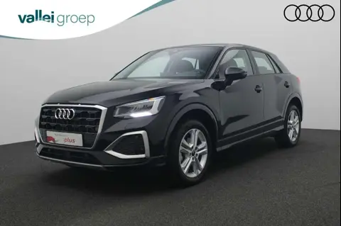 Used AUDI Q2 Petrol 2024 Ad 