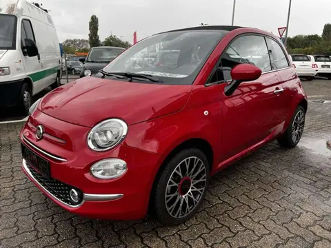 Used FIAT 500 Petrol 2023 Ad 