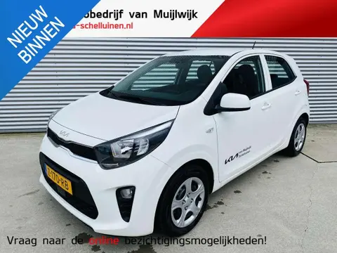 Used KIA PICANTO Petrol 2024 Ad 