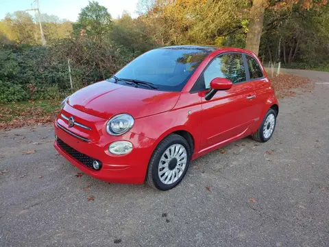 Used FIAT 500 Petrol 2022 Ad 