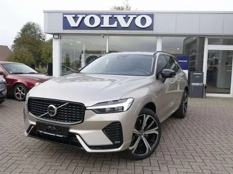 Used VOLVO XC60 Petrol 2024 Ad 