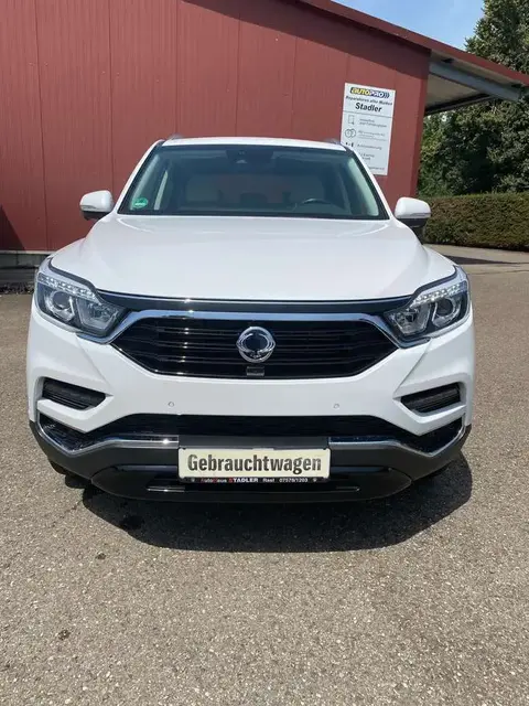 Used SSANGYONG REXTON Diesel 2019 Ad 