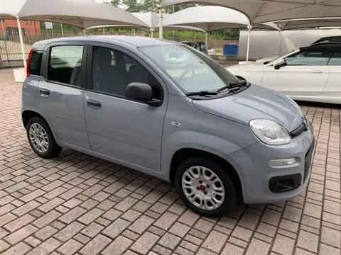 Used FIAT PANDA LPG 2020 Ad 