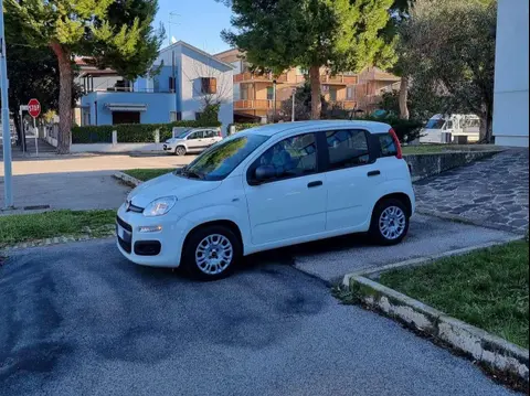 Used FIAT PANDA Hybrid 2021 Ad 