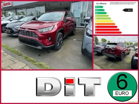 Used TOYOTA RAV4 Hybrid 2024 Ad Germany