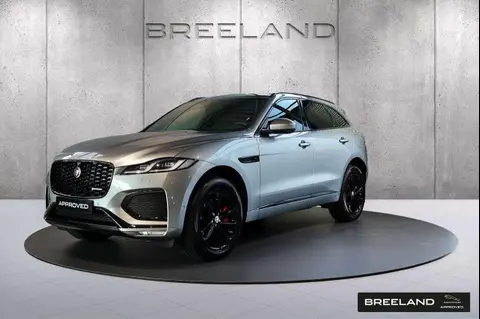 Used JAGUAR F-PACE Hybrid 2021 Ad 