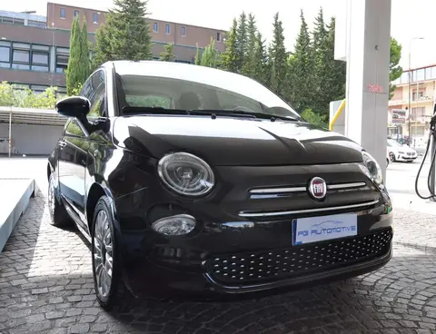 Used FIAT 500 Petrol 2019 Ad 