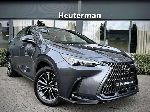 Annonce LEXUS NX Hybride 2023 d'occasion 