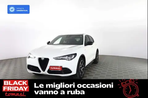 Used ALFA ROMEO STELVIO Diesel 2023 Ad 