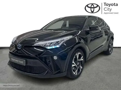 Used TOYOTA C-HR Hybrid 2023 Ad 