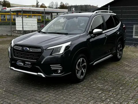 Used SUBARU FORESTER Petrol 2023 Ad 