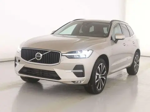 Used VOLVO XC60 Hybrid 2023 Ad 