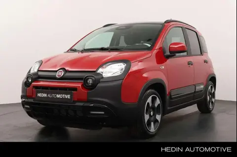 Annonce FIAT PANDA Essence 2024 d'occasion 