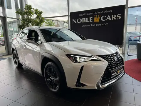 Used LEXUS UX Hybrid 2019 Ad 