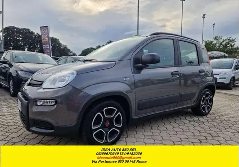 Annonce FIAT PANDA Hybride 2022 d'occasion 