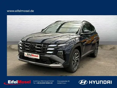 Annonce HYUNDAI TUCSON Hybride 2024 d'occasion 