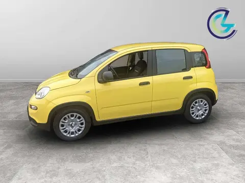 Used FIAT PANDA Hybrid 2024 Ad 