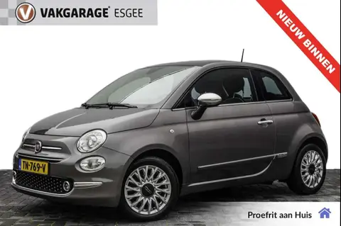 Used FIAT 500 Petrol 2017 Ad 