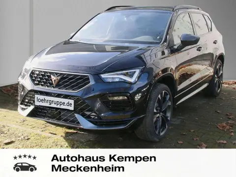 Annonce CUPRA ATECA Essence 2024 d'occasion 