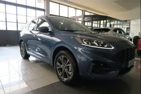 Used FORD KUGA Hybrid 2023 Ad 