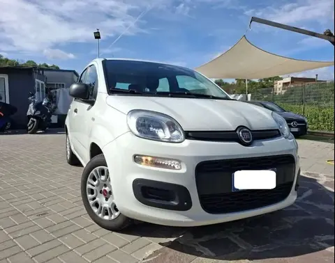 Annonce FIAT PANDA Essence 2018 d'occasion 